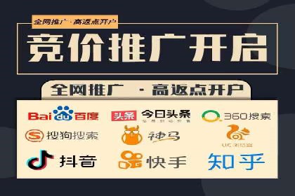 案例分析：百度推广成功案例解析